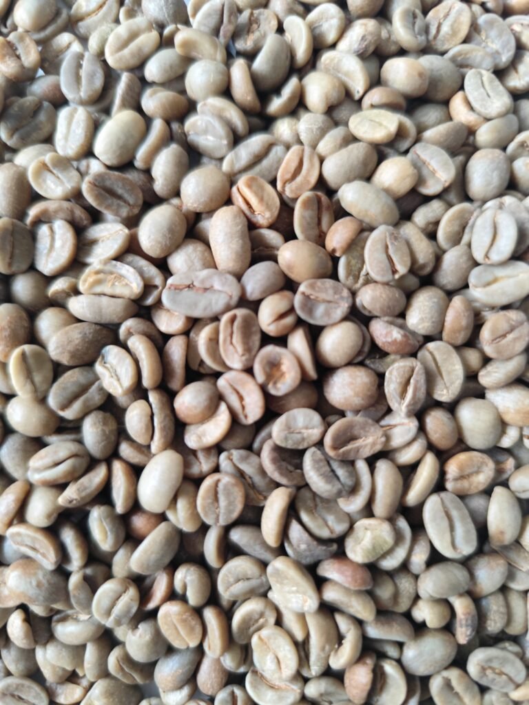 ARABICA IJEN BONDOWOSO