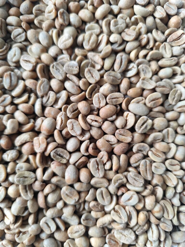 ARABICA IJEN X-DERIS