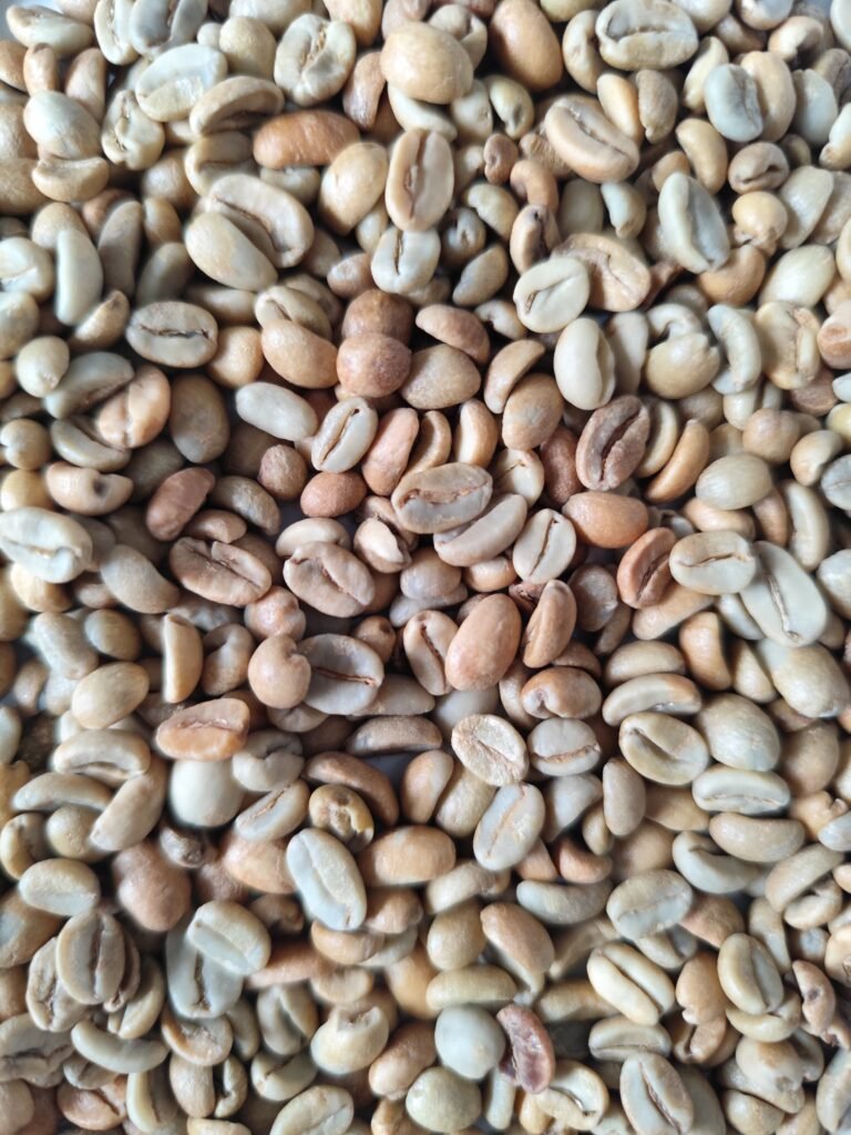 ARABICA PRANGER FRINSA