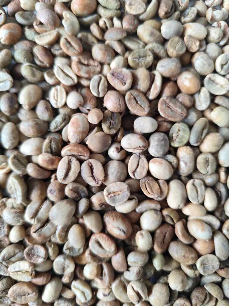 ROBUSTA BALI MADENAN